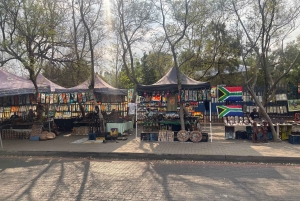 Half-Day Soweto & Culture Tour with Lunch