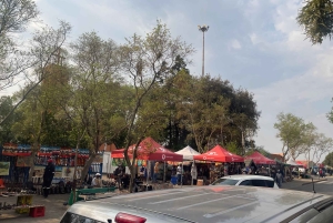 Half-Day Soweto & Culture Tour with Lunch