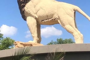 Hartbeespoort: Lesedi Village and Lion & Safari Park Tour