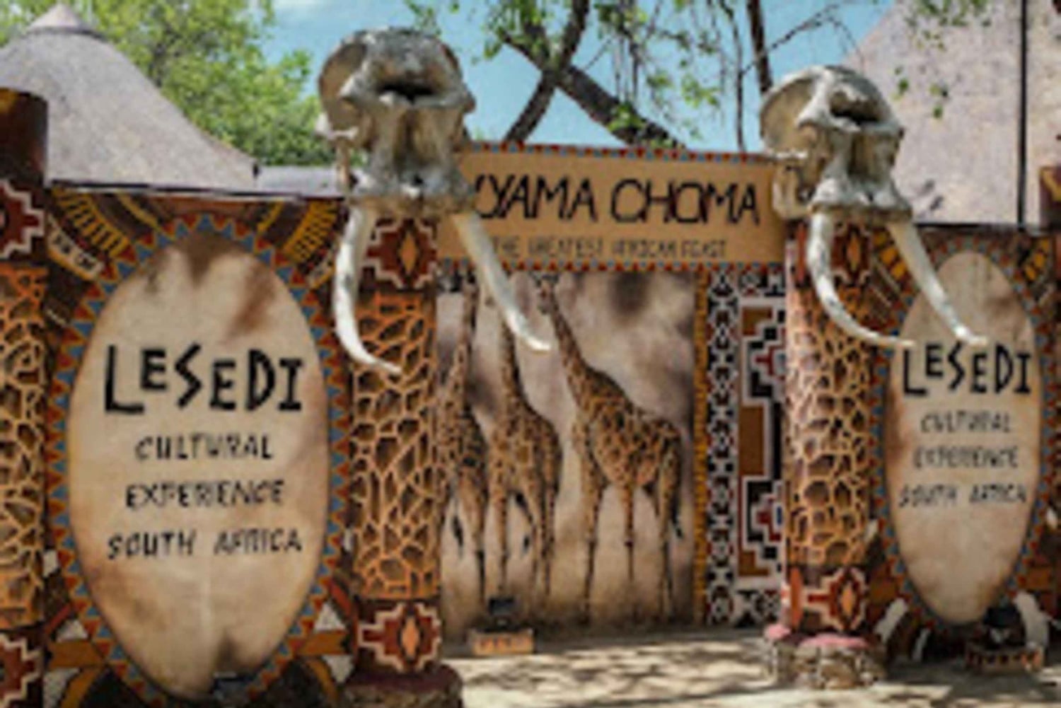 Hartbeespoort : Visite du Village Lesedi et du Lion & Safari Park