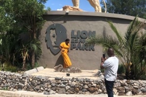 Hartbeespoort : Visite du Village Lesedi et du Lion & Safari Park