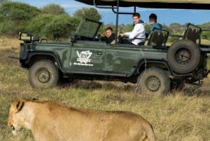 High-End 4 Day Kruger Park all Inclusive Safari from Joburg!