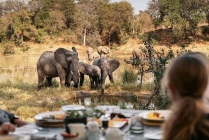 High-End 4 Day Kruger Park all Inclusive Safari from Joburg!