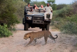 High-End 4 Day Kruger Park all Inclusive Safari from Joburg!