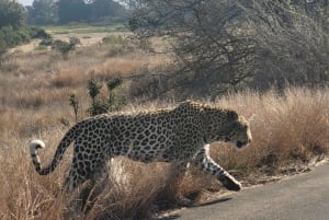 High-End 4 Day Kruger Park all Inclusive Safari from Joburg!