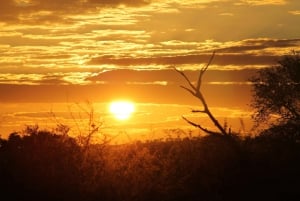 High-End 4 Day Kruger Park all Inclusive Safari from Joburg!