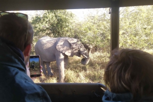 High-End 5 Day all-inclusive Kruger & Panorama Tour from JHB