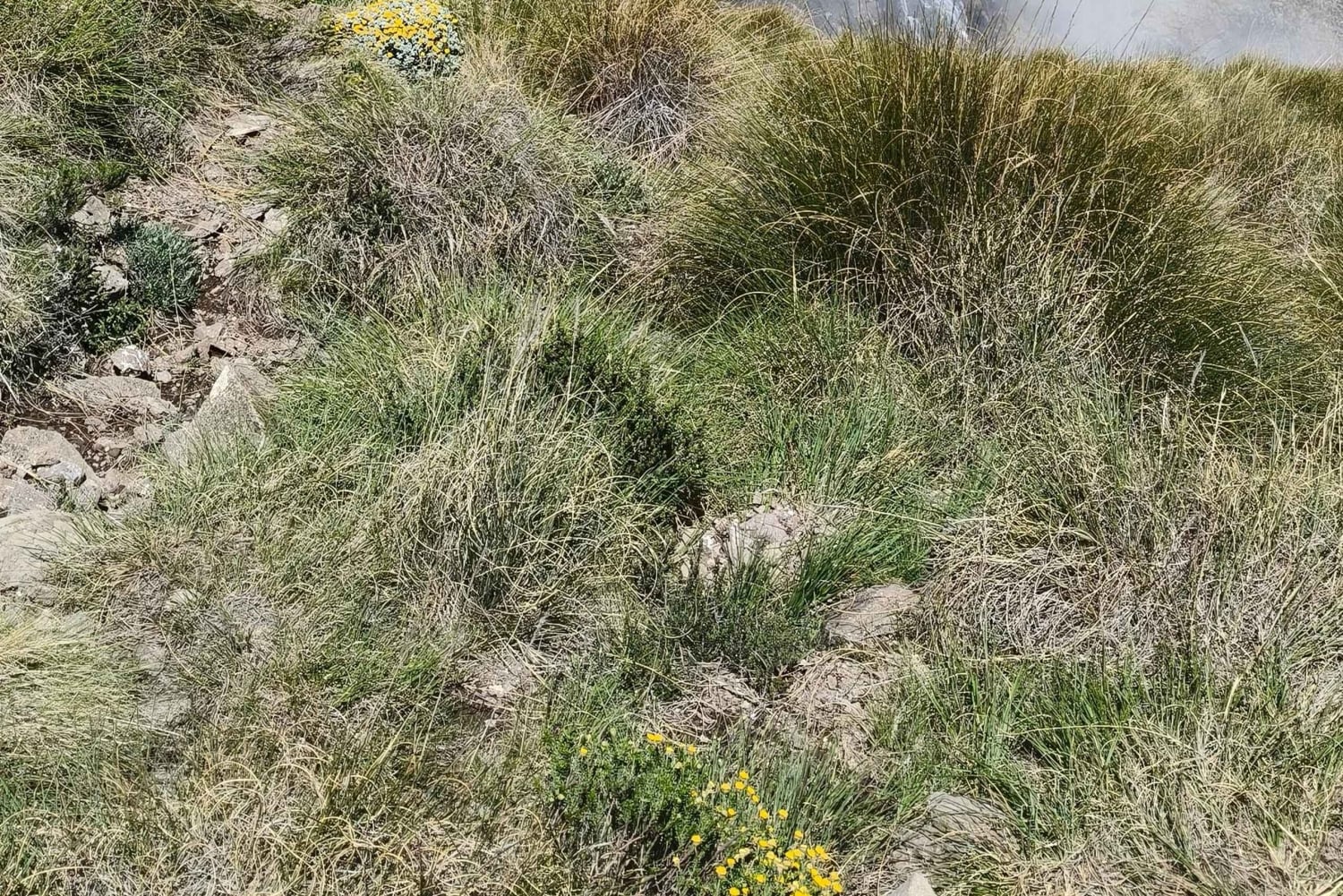 Пеший поход по ущелью Тугела – самый высокий водопад в мире