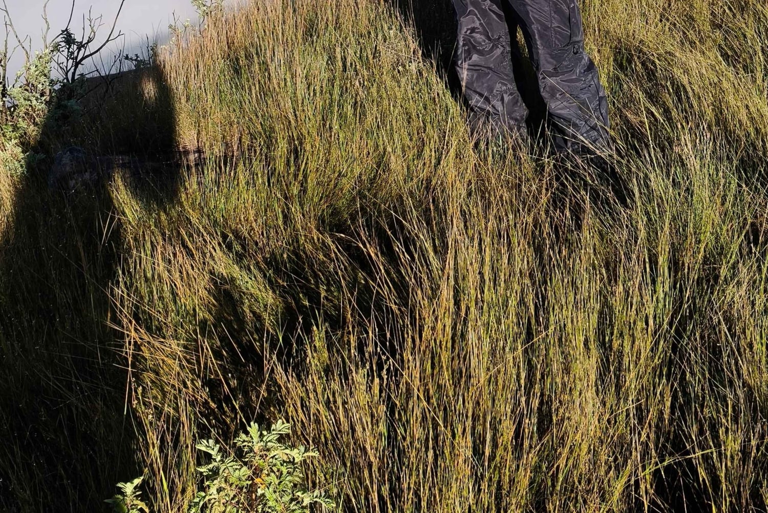 Пеший поход по ущелью Тугела – самый высокий водопад в мире