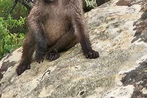 Пеший поход по ущелью Тугела – самый высокий водопад в мире