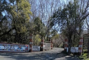 Berceau de l'humanité, village culturel Lesedi et parc Lion's Park