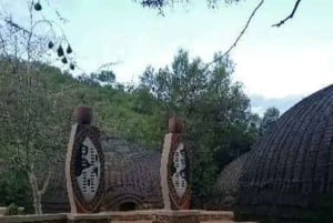 Berceau de l'humanité, village culturel Lesedi et parc Lion's Park