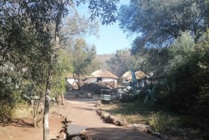 Berceau de l'humanité, village culturel Lesedi et parc Lion's Park