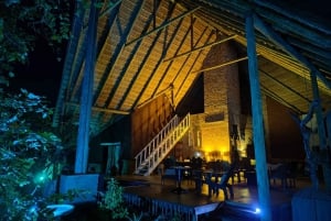 Joburg: Privat 4-dagers safari og panoramatour for kvinner