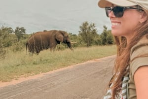 Joburg: Privat 4-dagers safari og panoramatour for kvinner