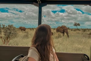 Joburg: Privat 4-dagers safari og panoramatour for kvinner