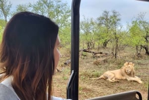 Joburg: Privat 4-dages Kruger-safari og panoramatour for kvinder
