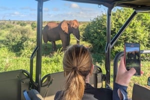Joburg: Privat 4-dages Kruger-safari og panoramatour for kvinder