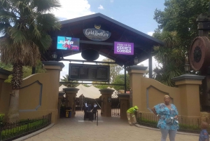 Joburg/Soweto & Gold Reef City Full Day Tour