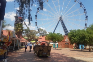 Visite d'une jounée de Joburg/Soweto et de Gold Reef City