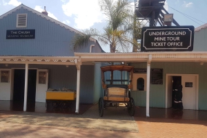 Visite d'une jounée de Joburg/Soweto et de Gold Reef City