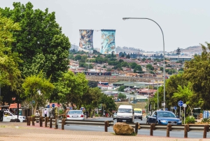 Visite d'une jounée de Joburg/Soweto et de Gold Reef City