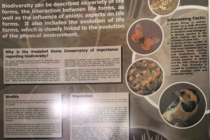 Johannesburg: Ganztägige Tour zum Weltkulturerbe Vredefort Dome