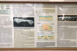 Johannesburg: Ganztägige Tour zum Weltkulturerbe Vredefort Dome