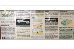 Johannesburg: Ganztägige Tour zum Weltkulturerbe Vredefort Dome