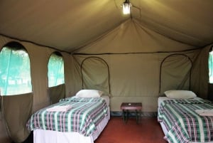 Johanessburg: 3-tägiges Pilanesberg Camping Abenteuer