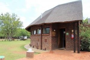 Johanessburg : 3 jours d'aventure en camping dans le Pilanesberg