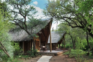 Johannesburg: 2-Day 4-Star Pilanesberg Safari