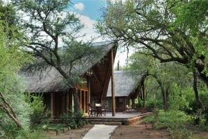 Johannesburg: 2-Day 4-Star Pilanesberg Safari