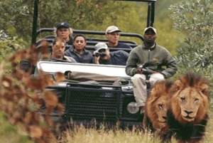 Johannesburg: 2-Day Kruger Big 5 Luxury Lodge Fly-In Safari
