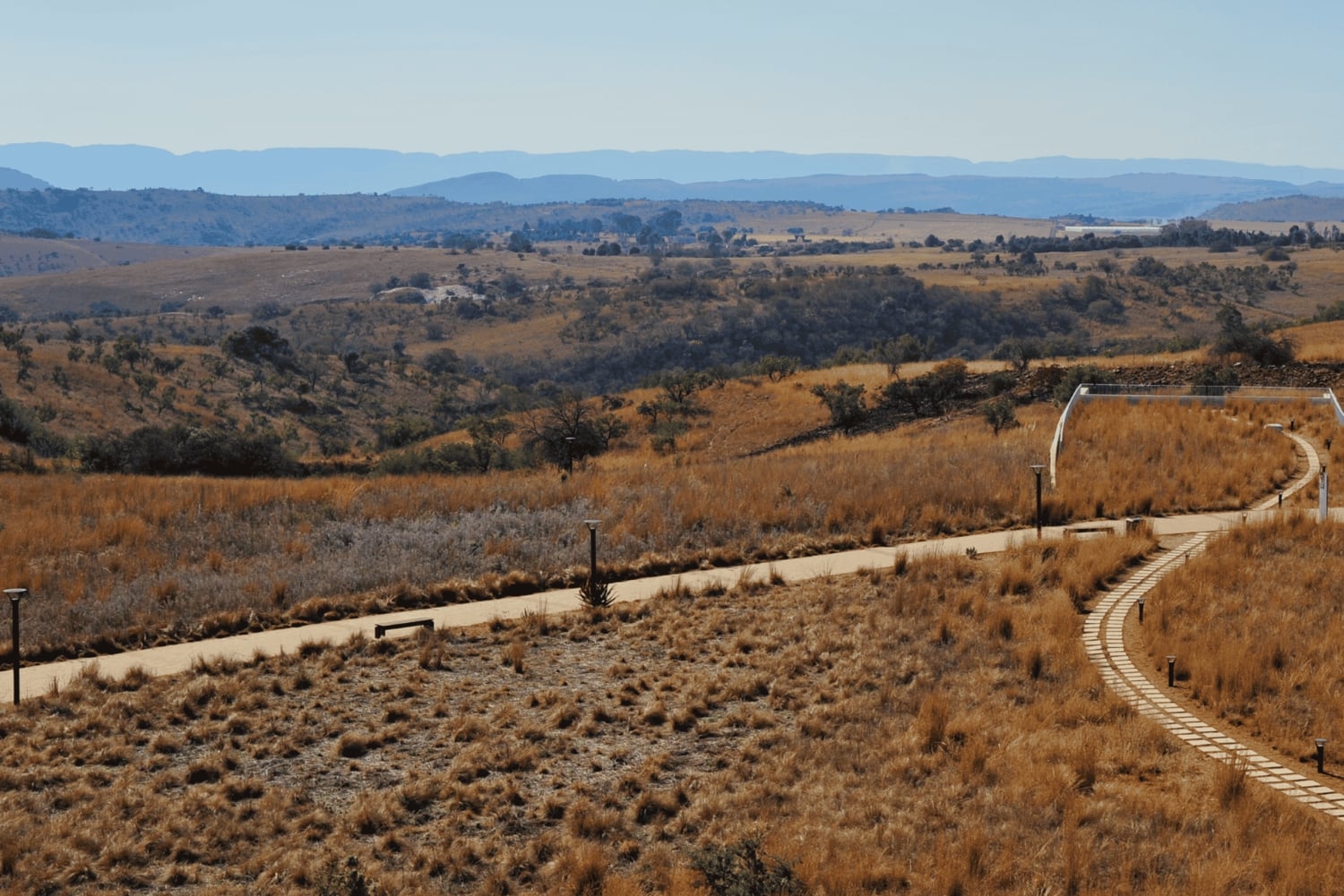 Johannesburg : 2 heures d'interaction avec les éléphants