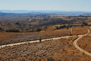 Johannesburg: 2 timers elefantinteraktion