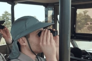 Johannesburg: 3-dagers Kruger nasjonalpark og Panoramaruten...