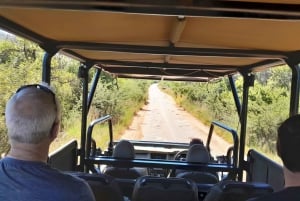 Johannesburg: 3 Hour Pilanesberg National Park Game Drive