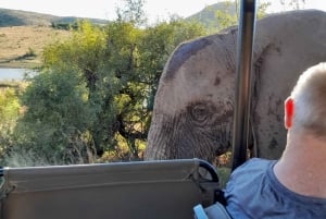 Johannesburg: 3 Hour Pilanesberg National Park Game Drive