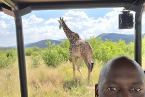 Johannesburgo: Excursión de 3 horas al Parque Nacional de Pilanesberg