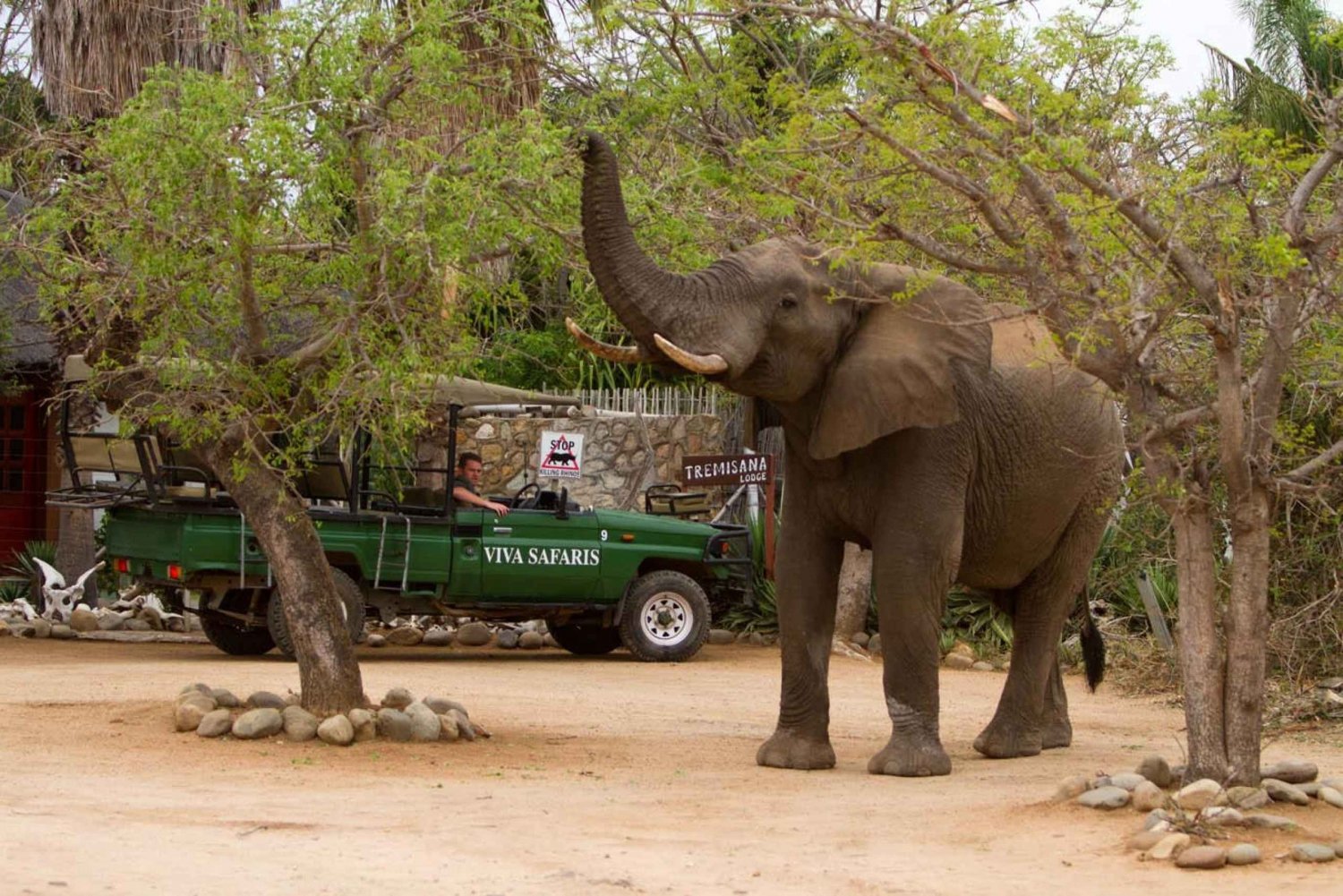 Johannesburg: 4-Day Classic Kruger National Park Safari