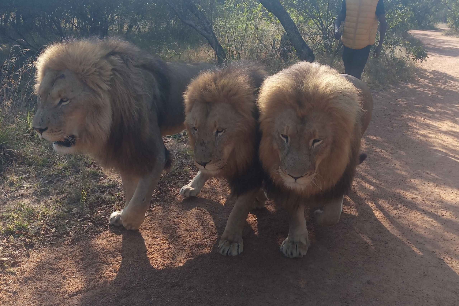 Johannesburg 4 päivää