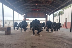 Johannesburg 4 päivää