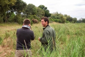 Johannesburg: Krugerin kansallispuiston 5 päivän klassinen safari