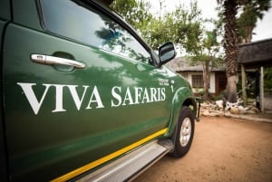 Johannesburg : Safari classique de 5 jours dans le parc national Kruger