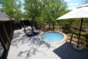 Johannesburg: 6-dniowe luksusowe safari w Parku Narodowym Krugera