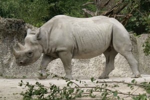 ヨハネスブルグ：9日間ビッグ5サファリ＆湿地帯ツアー