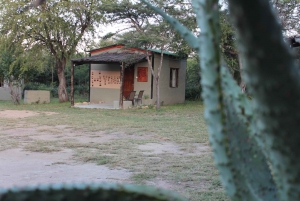 Johannesburg: betaalbare driedaagse Krugerparksafari