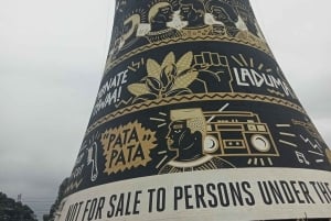 Visita a Johannesburgo y Soweto