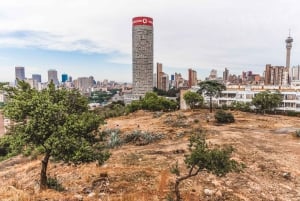 Johannesburg: Apartheid Museum & Maboneng Halvdagstur